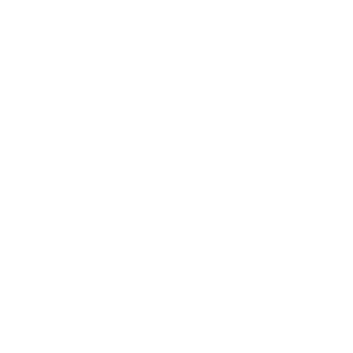 Fifth Domain